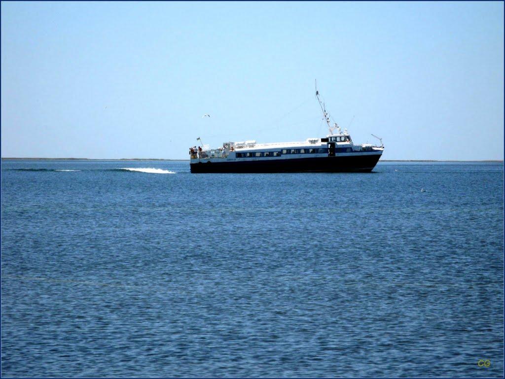Скадовськ з panoramio.com - Скадовск
