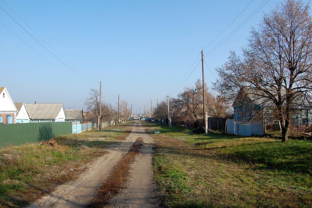 Дронівка з panoramio.com - Дроновка