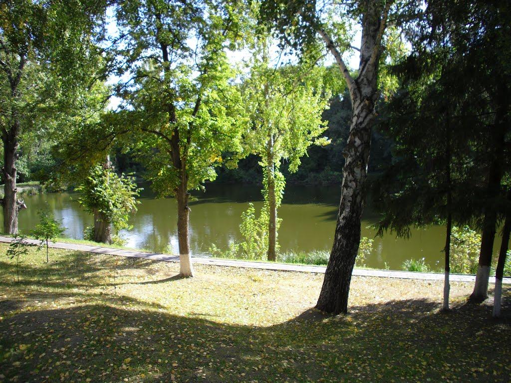 Сковородинівка з panoramio.com - Сковородинівка