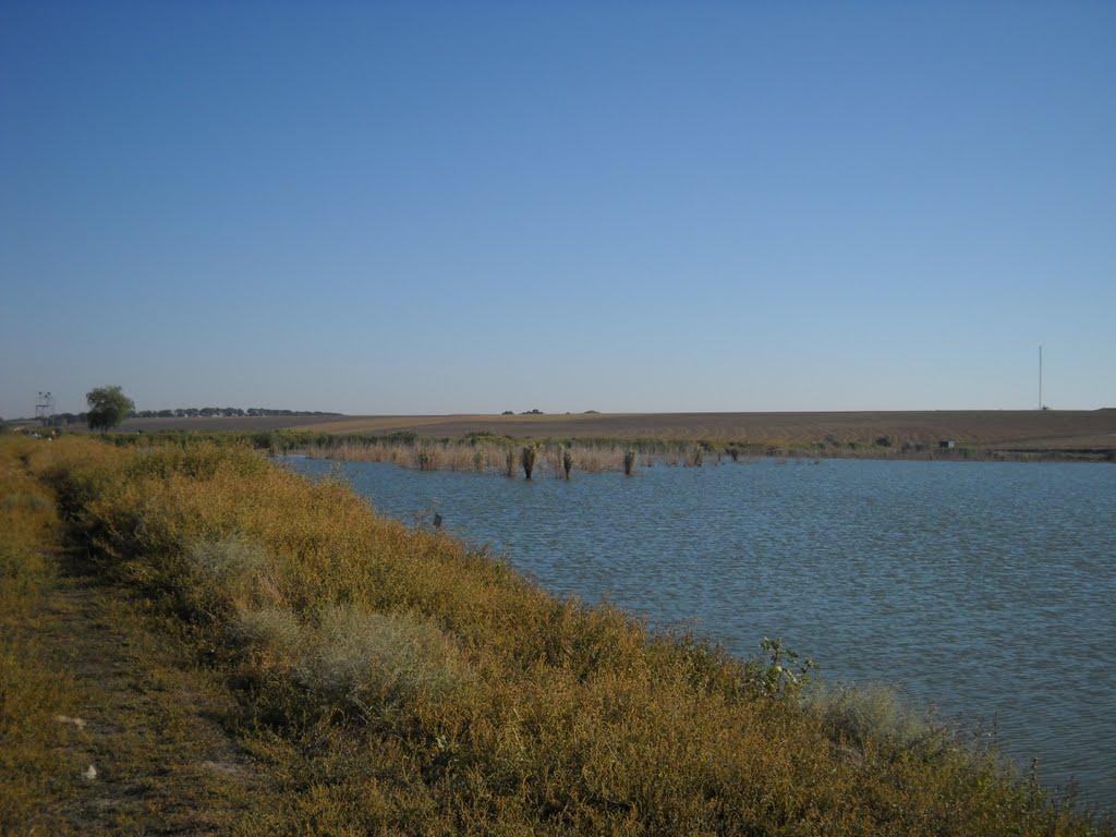 Приморське з panoramio.com - Приморское