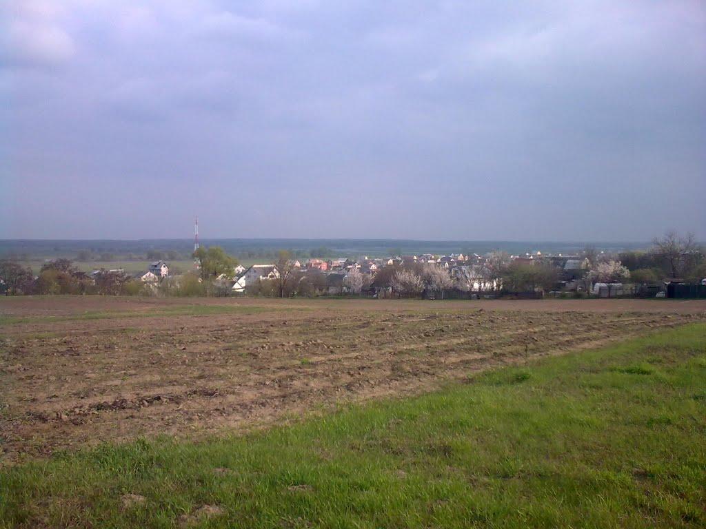 Новоселівка з panoramio.com - Новоселівка