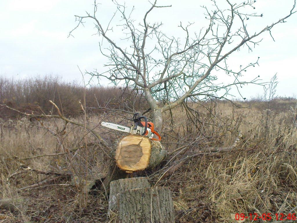 Соломоново з panoramio.com (ч.2) - Соломоново