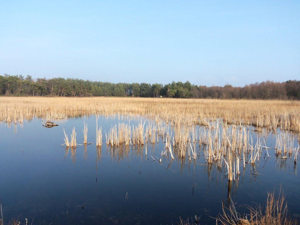 Клекотів з panoramio.com - Клекотов