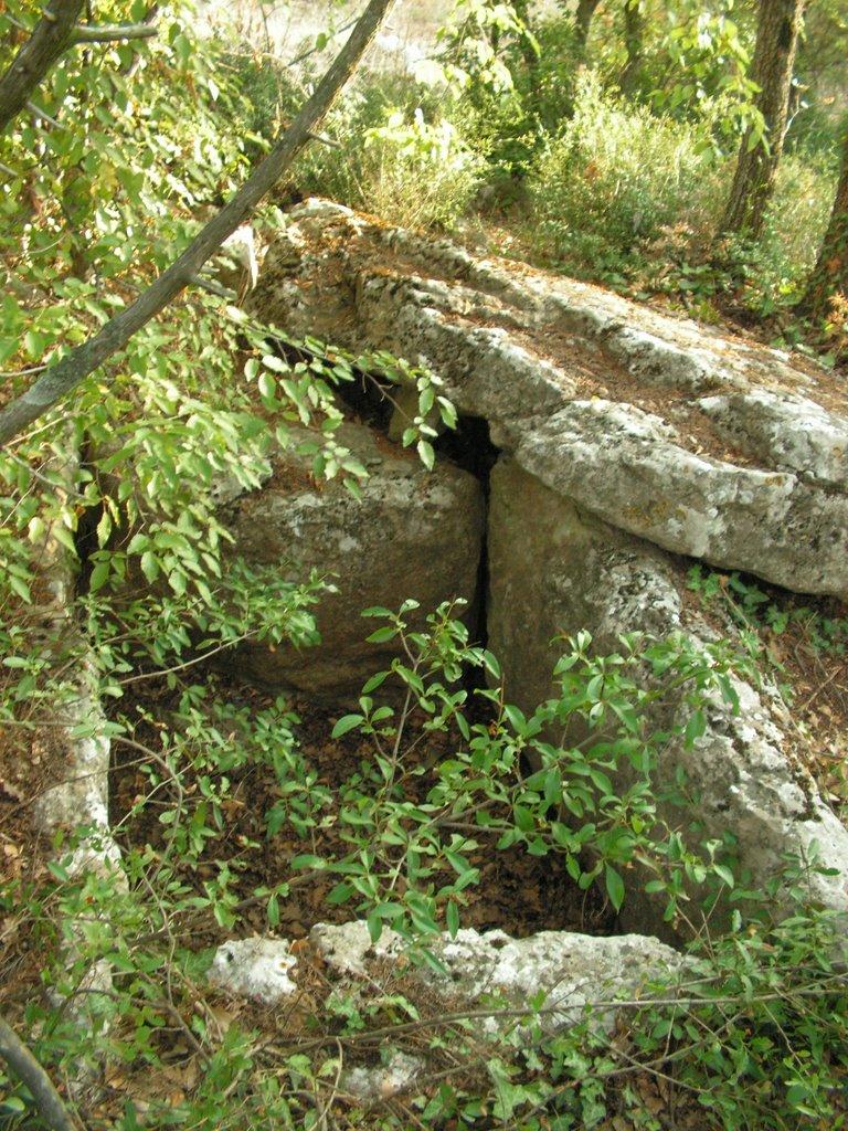 Голуба Затока з panoramio.com (ч.2) - Голубая Затока