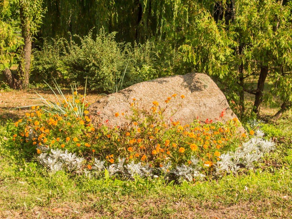 Софіївська Борщагівка з panoramio.com (ч.2) - Софиевская Борщаговка