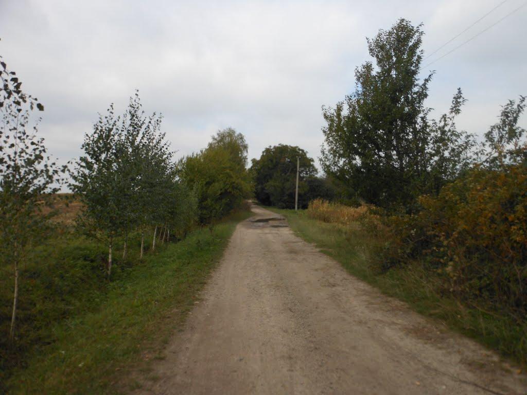 Вовчищовичі з panoramio.com - Вовчищовичі