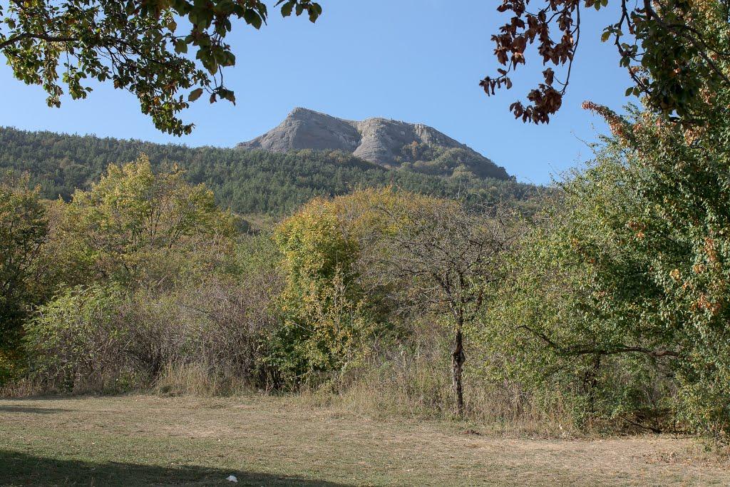 Лаванда з panoramio.com (ч.2) - Lavanda