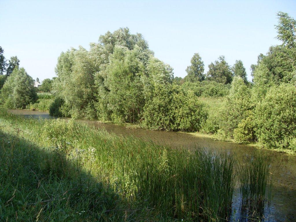 Заворичі з panoramio.com - Zavorychi