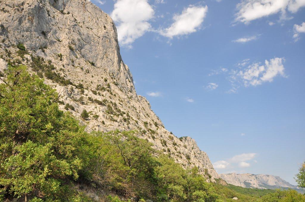 Санаторне з panoramio.com - Санаторне