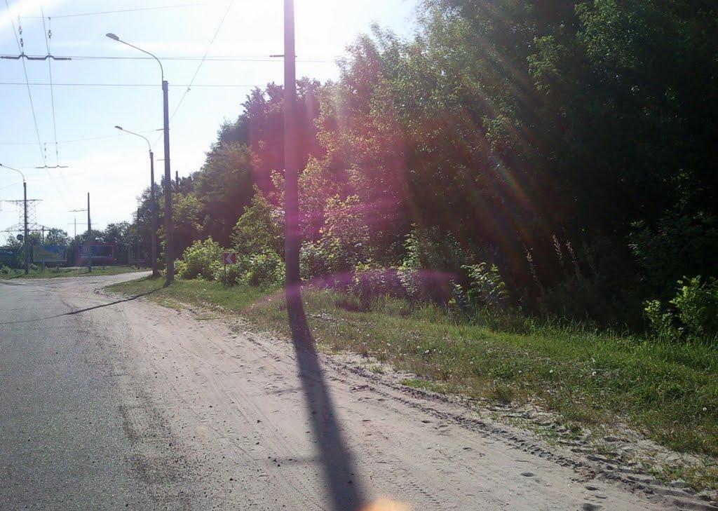 Лище з panoramio.com - Лище