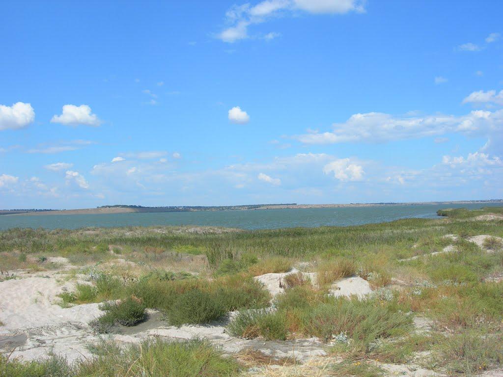 Давидківці з panoramio.com - Давидківці