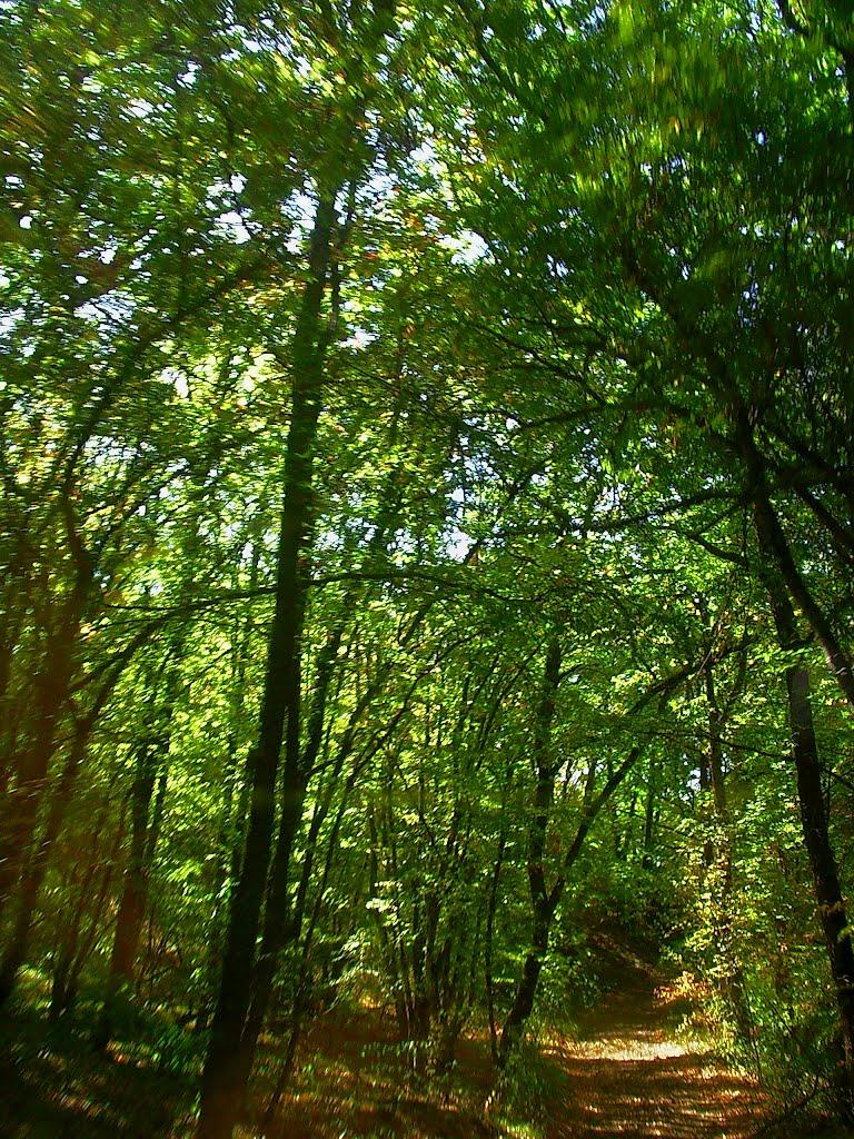 Верхоріччя з panoramio.com - Верхоречье