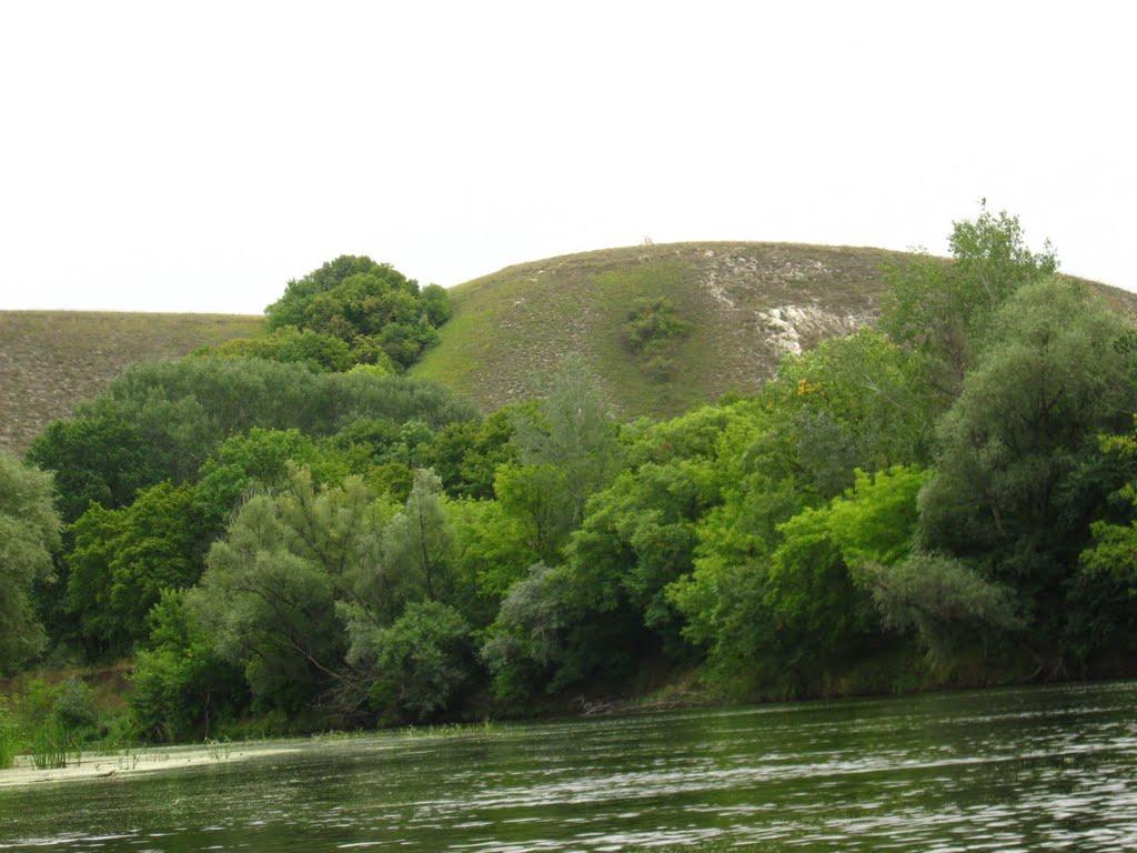 Білогорівка з panoramio.com - Білогорівка