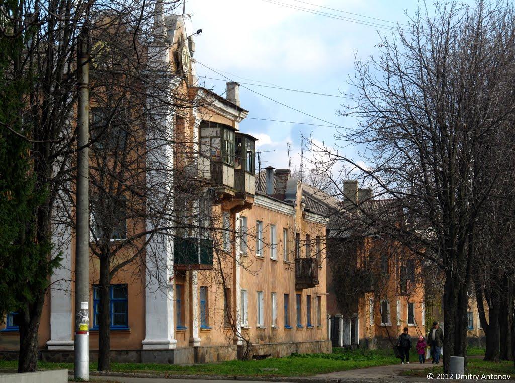 Кам'яне Поле з panoramio.com - Каменное Поле