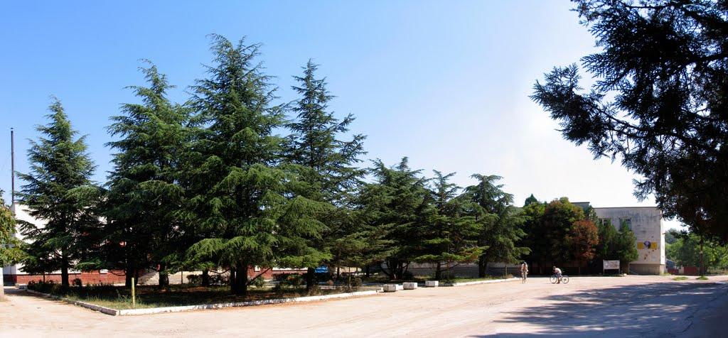 Некрасовка з panoramio.com - Некрасовка