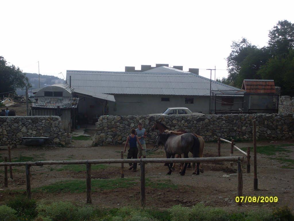 Масандра з panoramio.com - Масандра