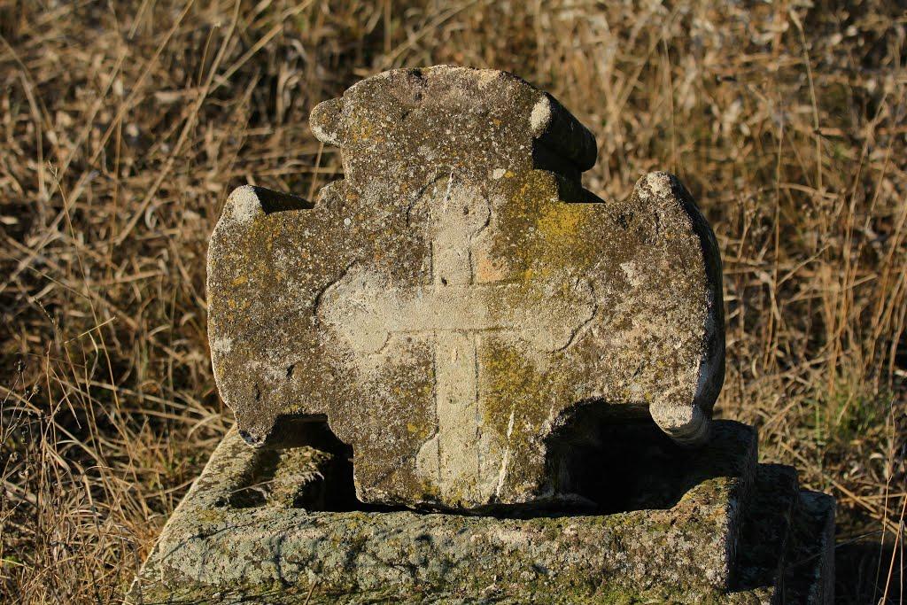 Лохівка з panoramio.com - Лохівка