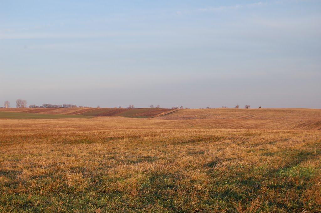 Пустомити з panoramio.com - Пустомити