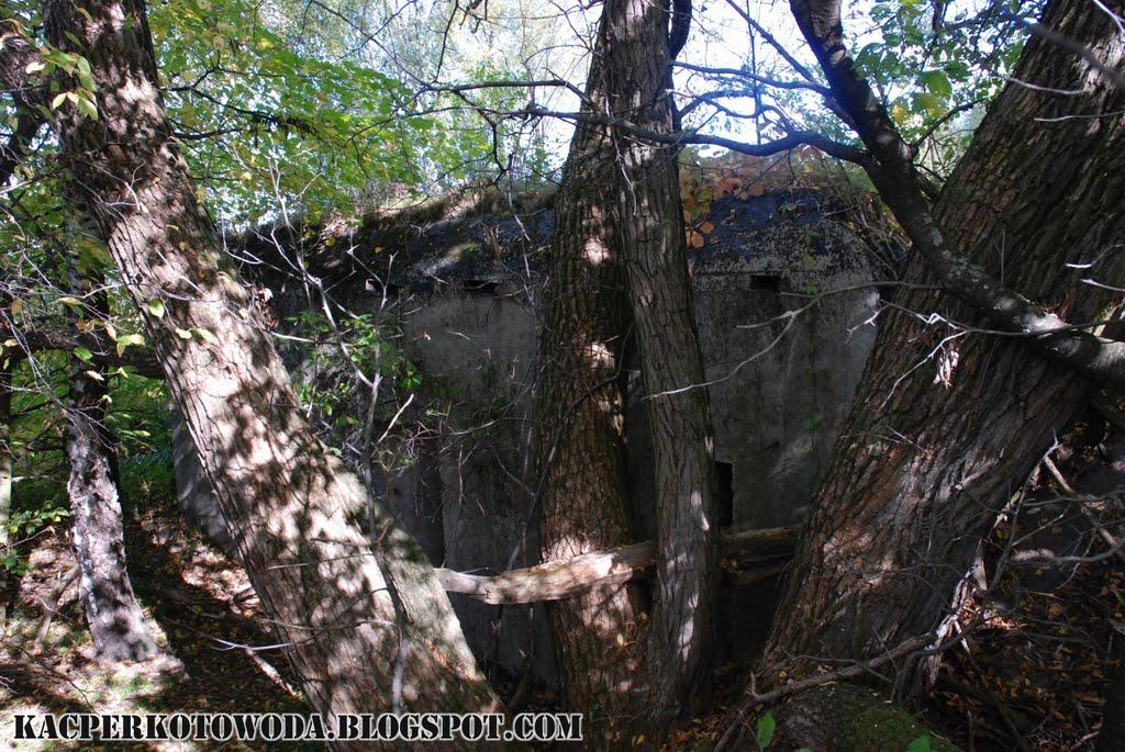 Великі Макари з panoramio.com - Великі Макари