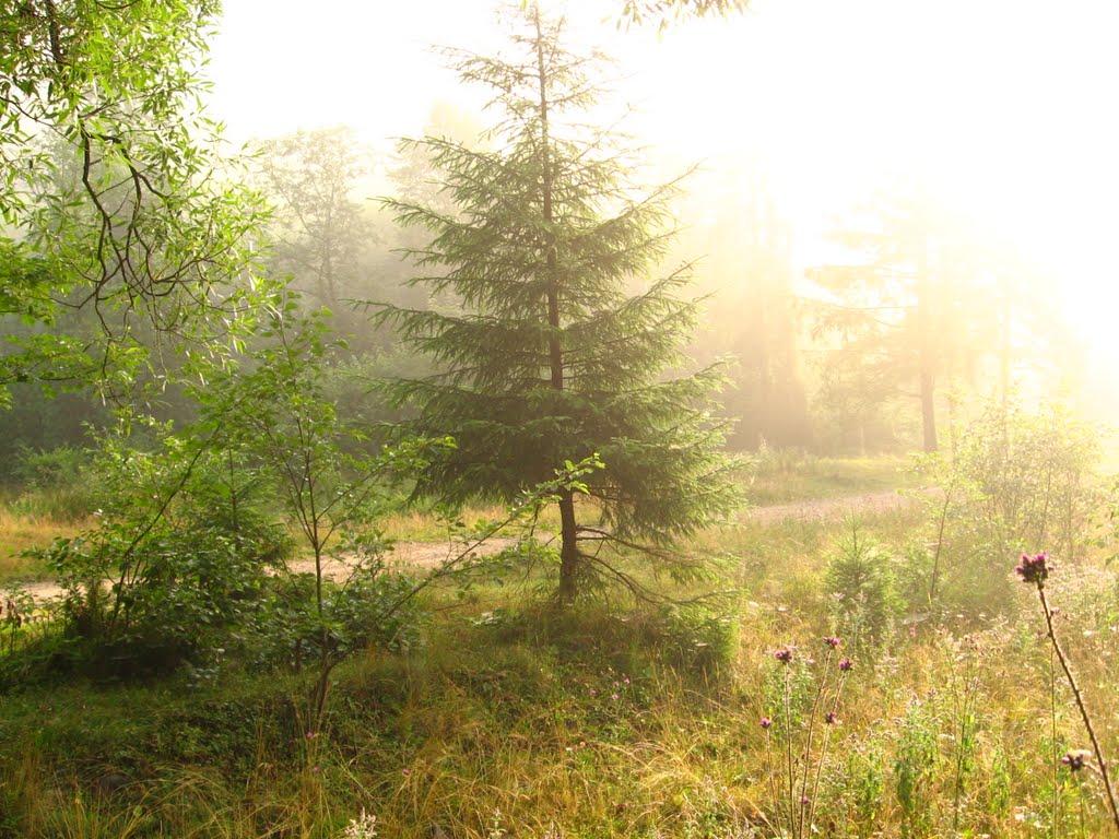 Тухля з panoramio.com - Тухля