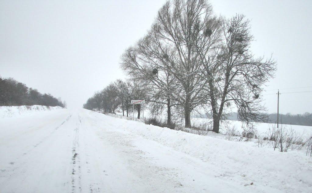 Ясенівці з panoramio.com - Ясенівці