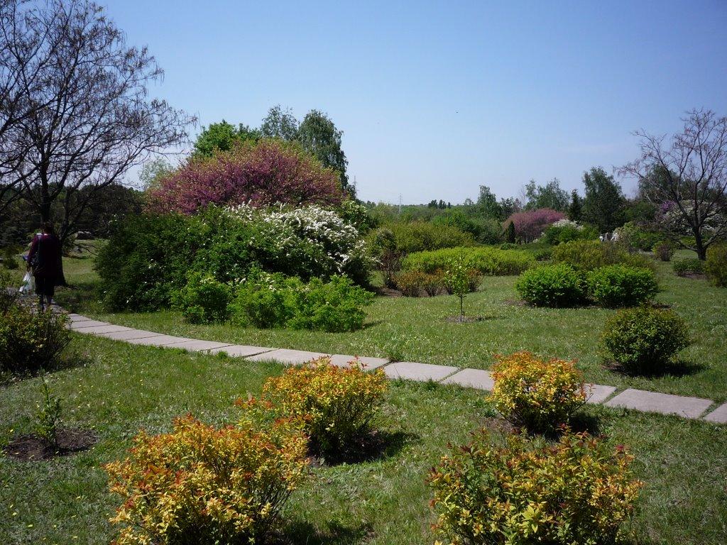 Кам'яне Поле з panoramio.com - Каменное Поле