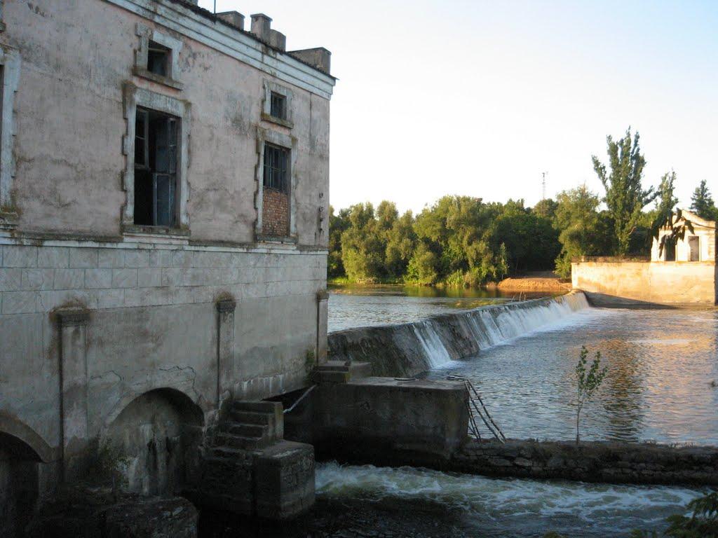 Осички з panoramio.com - Осички