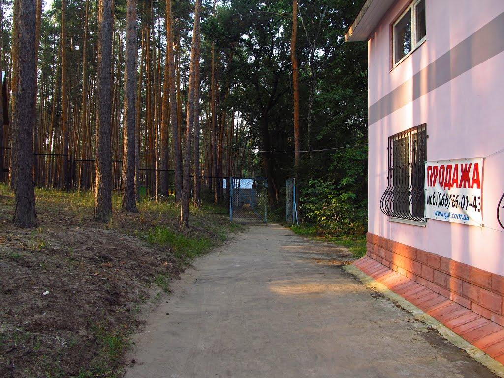 Райгородок з panoramio.com - Raygorodok