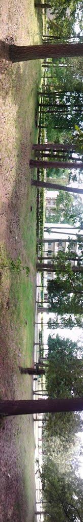 Слободяки з panoramio.com - Слободяки