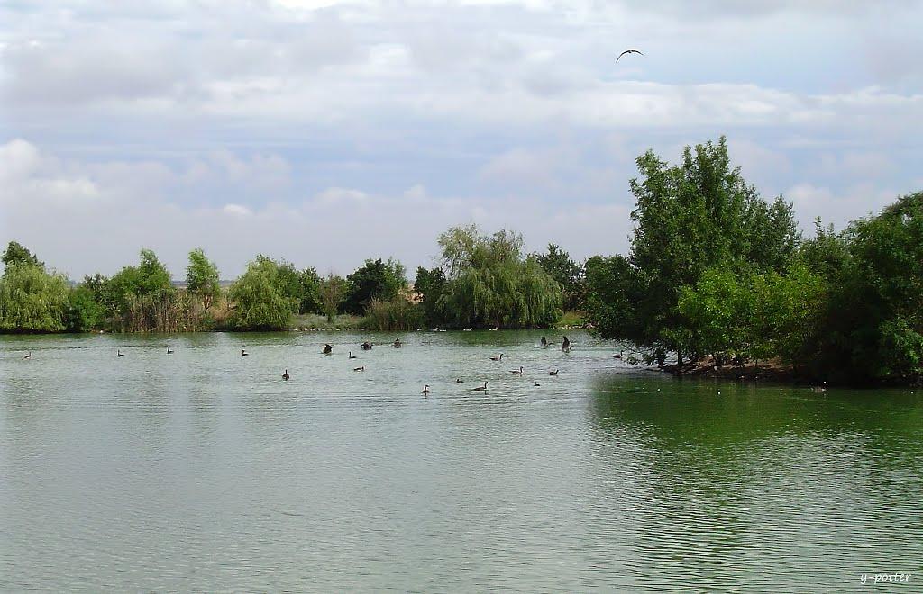 Асканія-Нова з panoramio.com - Askaniya-Nova