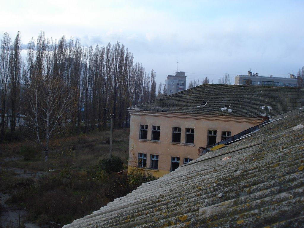 Корсунці з panoramio.com - Korsuntsi