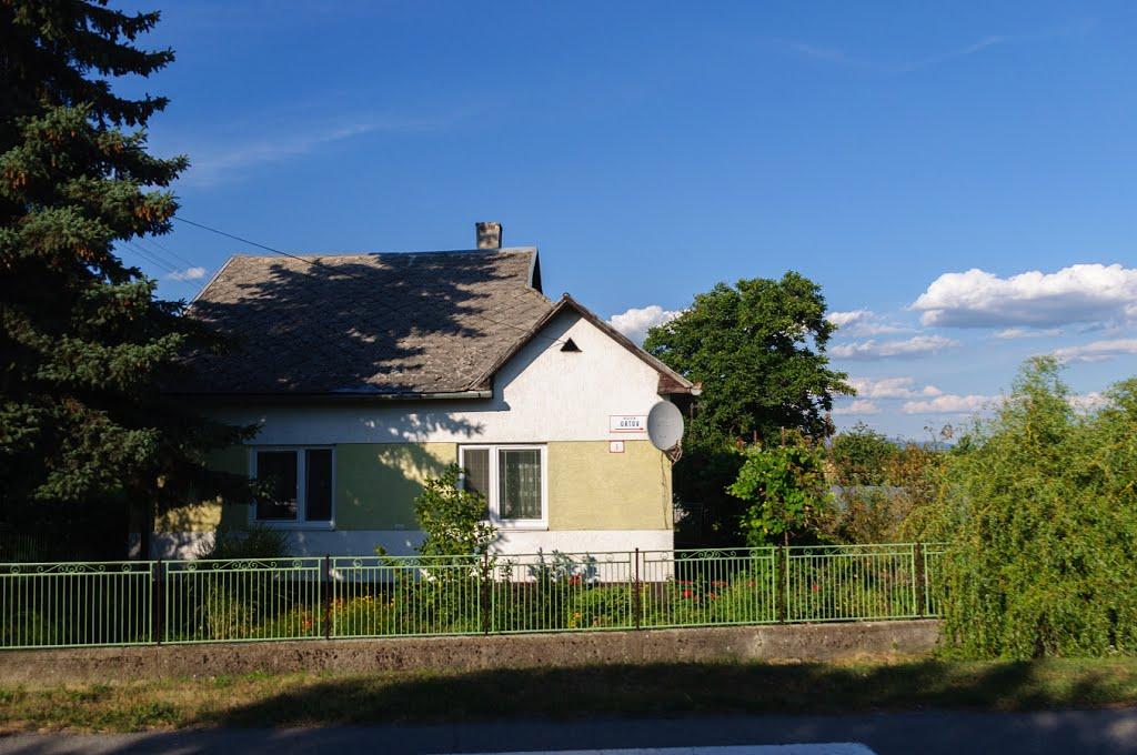 Розівка з panoramio.com (ч.2) - Розівка