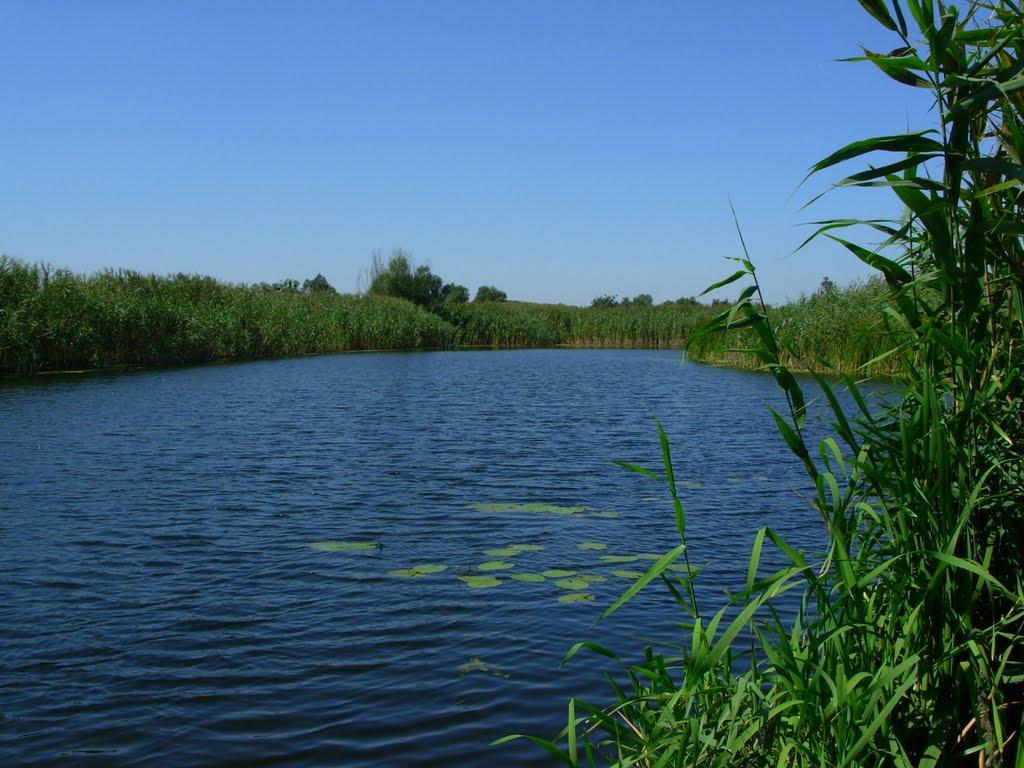 Мерефа з panoramio.com - Мерефа