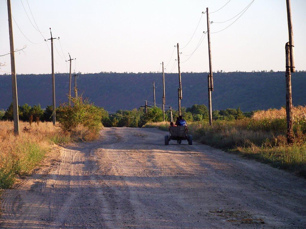 Новокрасне з panoramio.com - Novokrasne