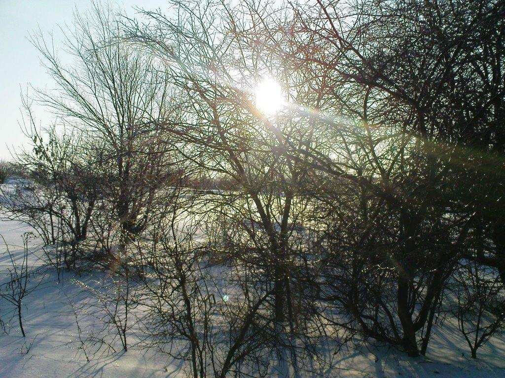 Катеринка з panoramio.com - Катеринка