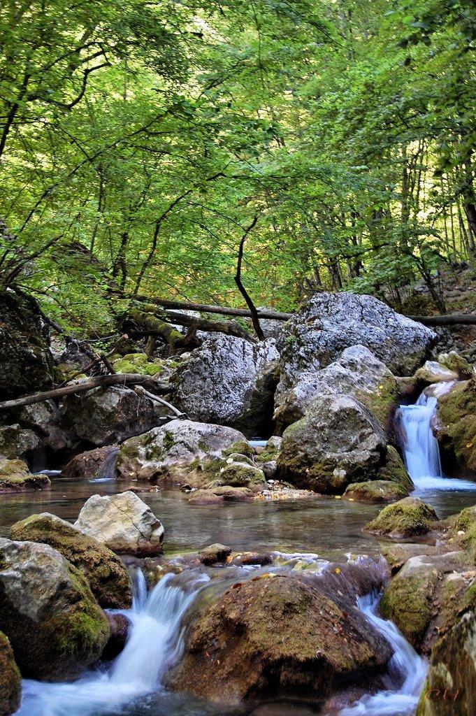Соколине з panoramio.com (ч.2) - Соколиное