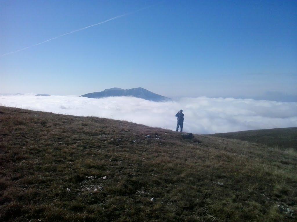 Лаванда з panoramio.com (ч.2) - Lavanda