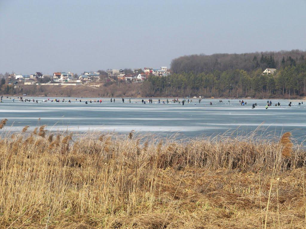 Івачів Горішній з panoramio.com - Ивачев Горишний