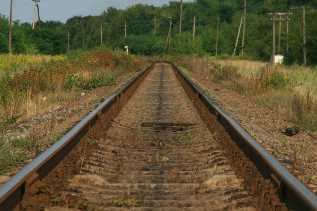 Білогородка з panoramio.com - Білогородка