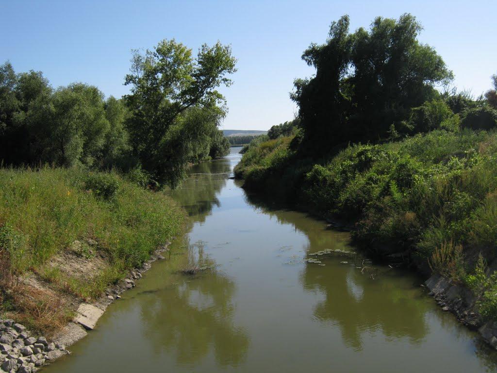 Новосільське з panoramio.com - Новосільське