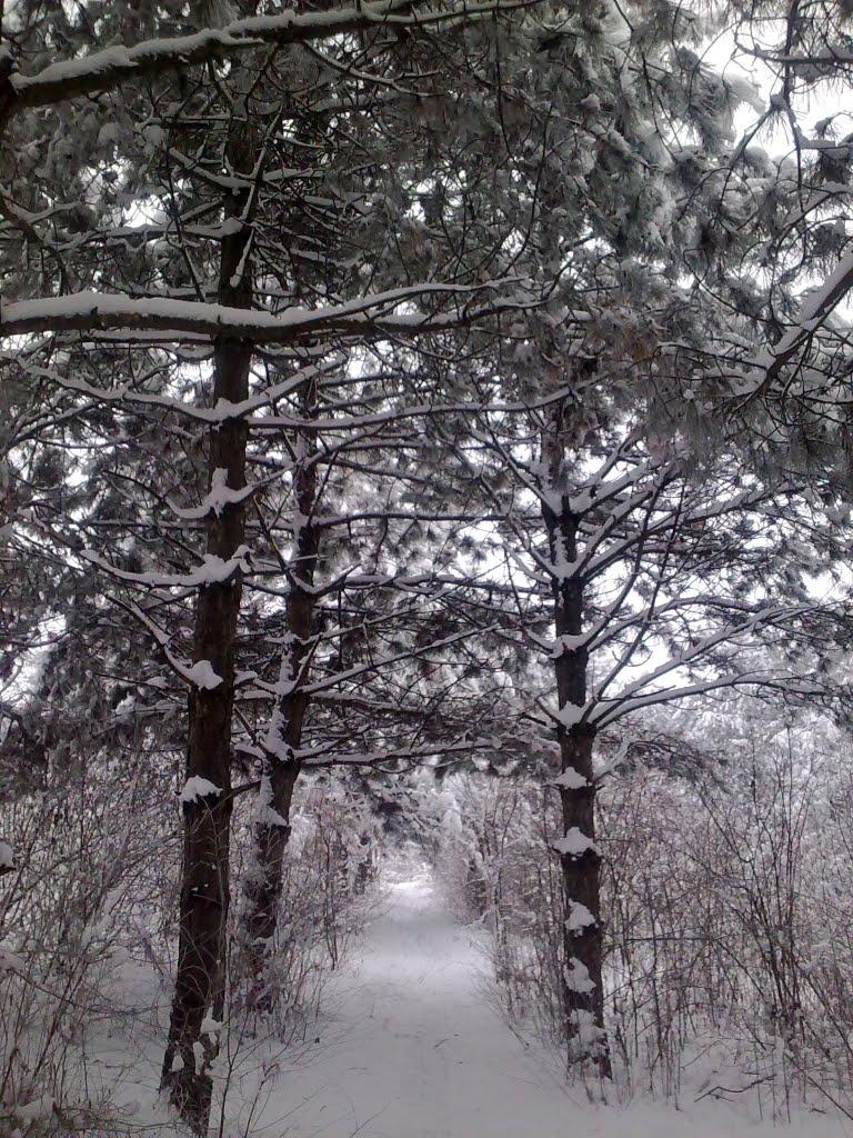 Долинка з panoramio.com - Долинка