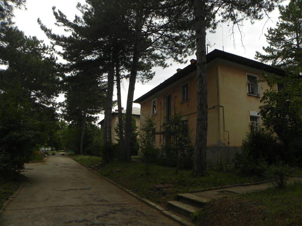 Научний з panoramio.com - Научний