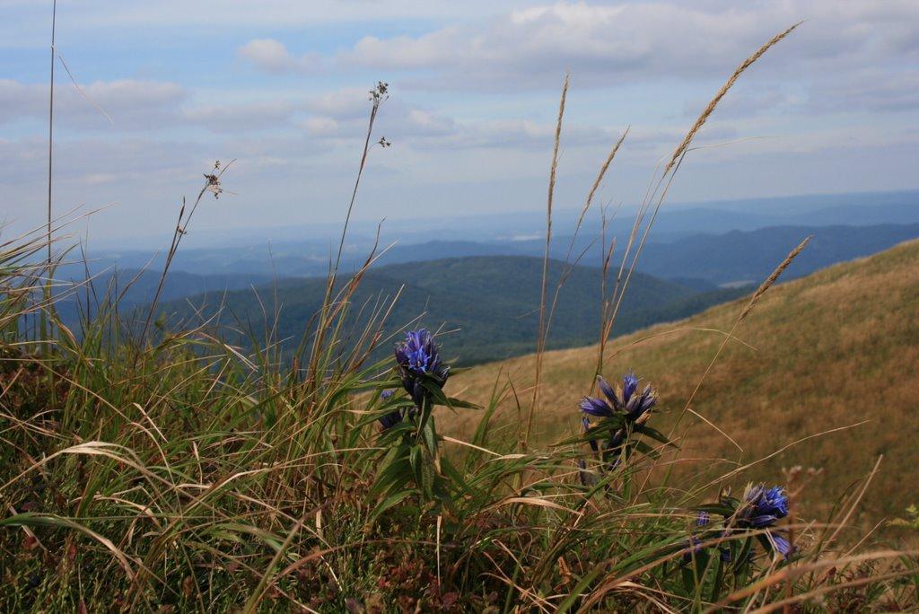 Стужиця з panoramio.com (ч.2) - Stuzhytsya