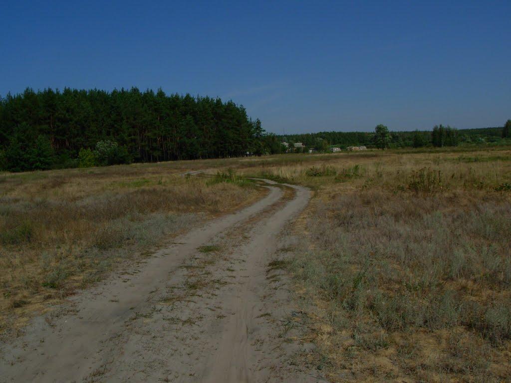 Мерефа з panoramio.com - Мерефа