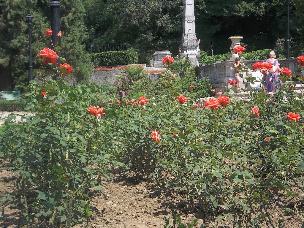 Масандра з panoramio.com - Масандра
