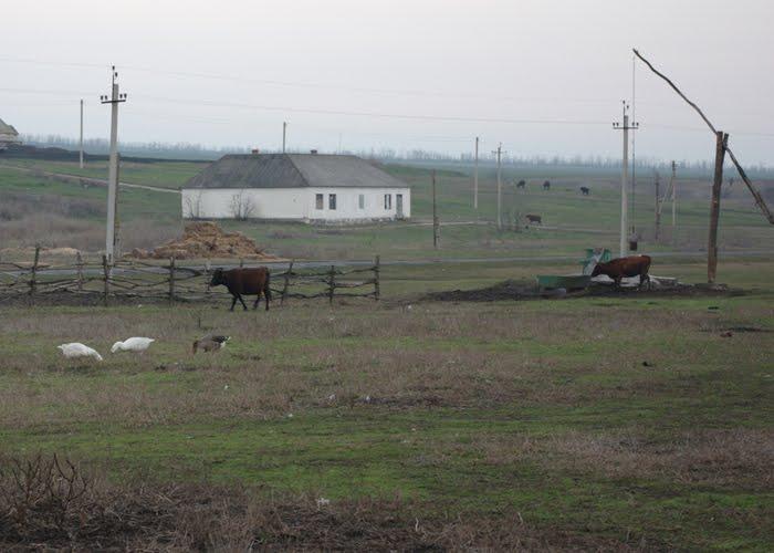 Морозова з panoramio.com - Морозова