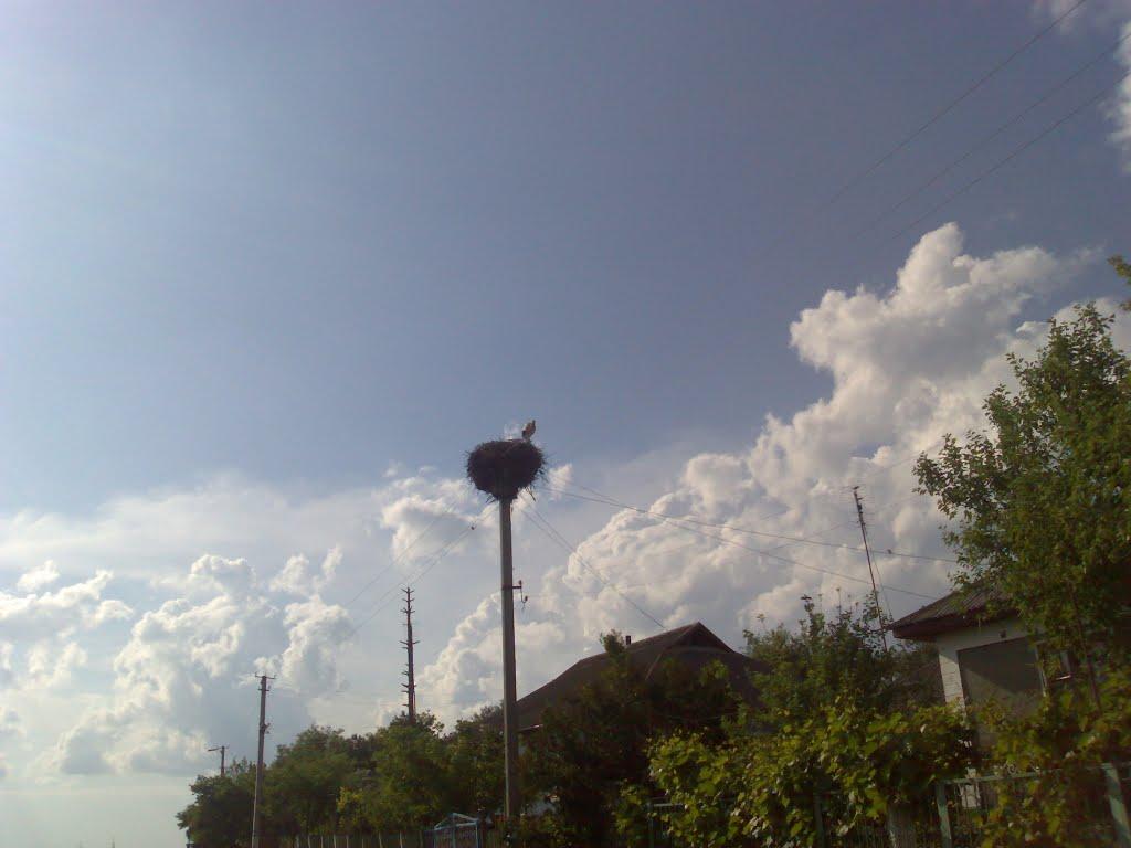 Березівка з panoramio.com - Березівка