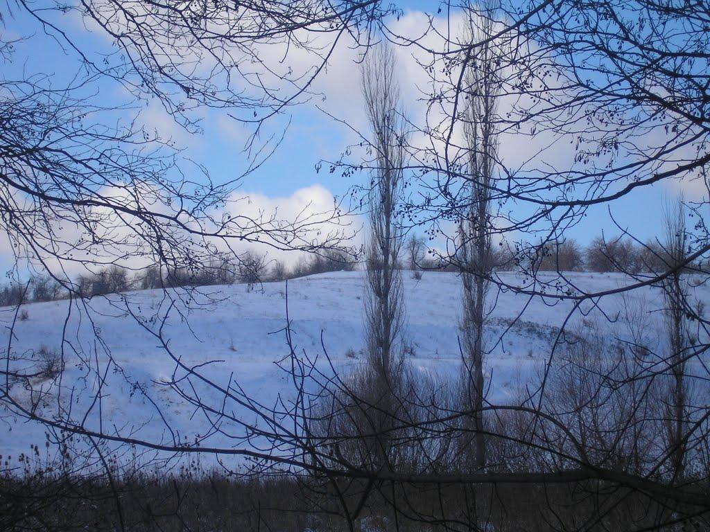 Воєводчинці з panoramio.com - Воєводчинці