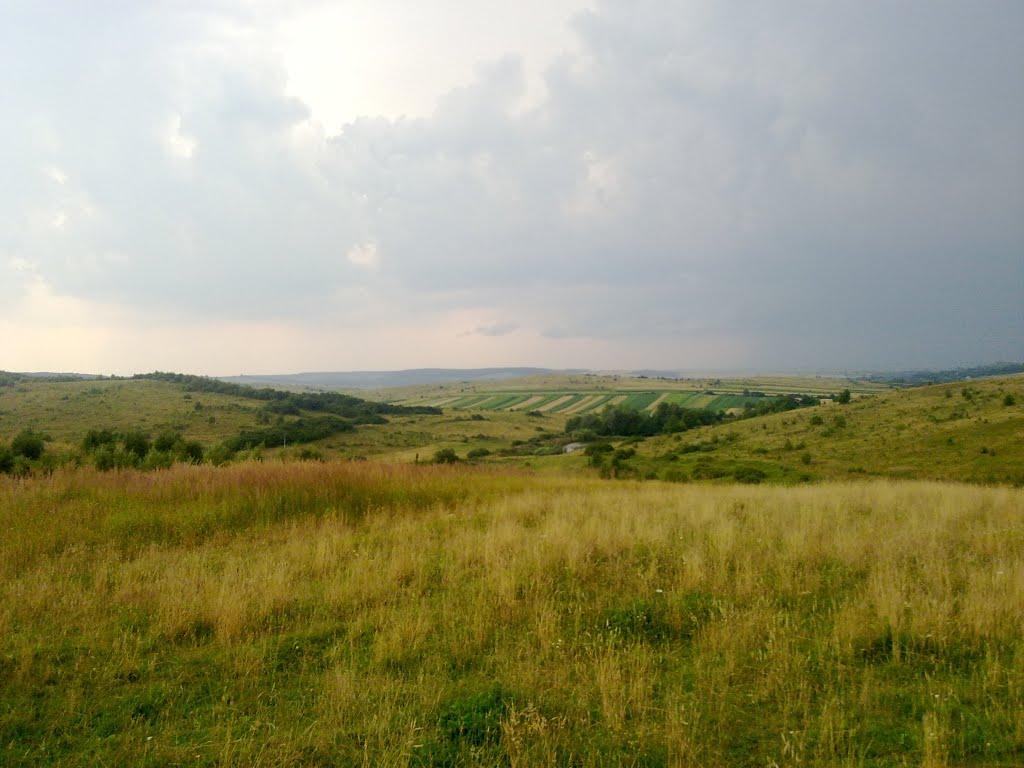 Велика Діброва з panoramio.com - Велика Діброва