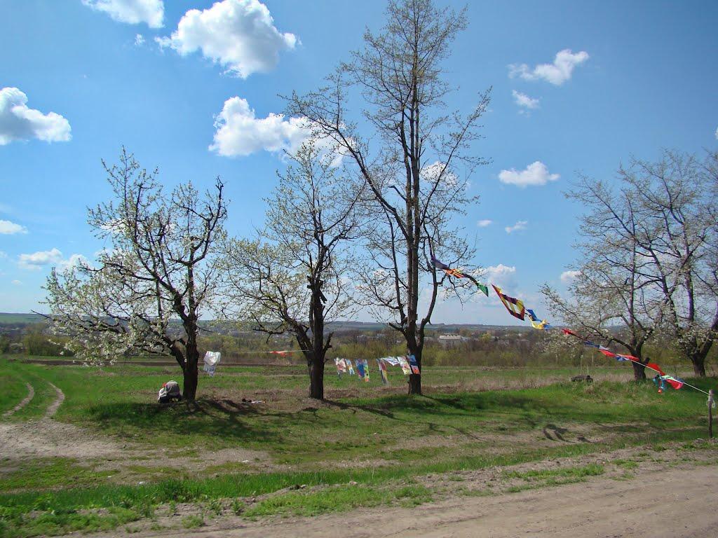 Кам'янка з panoramio.com - Каменка